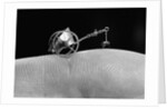 Flea Pulling Miniature Merry Go Round by Anonymous