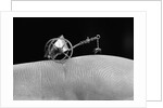 Flea Pulling Miniature Merry Go Round by Anonymous