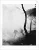Marines Moving Quickly Through Smoke by Anonymous