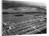 Lakewood Housing Development by Anonymous