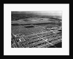 Lakewood Housing Development by Anonymous