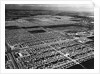 Lakewood Housing Development by Anonymous