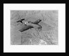 Military Airplane in Flight by Anonymous