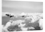 USAF P-47 Thunderbolts in Flight by Anonymous