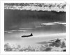 Fleet of Bombers by Anonymous