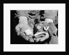 Man Holding Silkworms by Anonymous