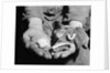 Man Holding Silkworms by Anonymous