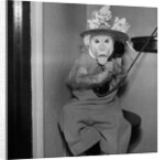 Monkey Talking on the Telephone by Anonymous
