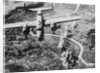 US Bomber over Italy by Anonymous