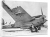 De Havilland Mosquito on Runway by Anonymous