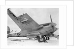 De Havilland Mosquito on Runway by Anonymous