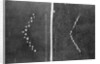View of "Lubbock Lights" by Anonymous