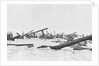 Invaders on Omaha Beach by Anonymous