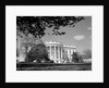 Exterior View of the White House by Anonymous