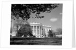 Exterior View of the White House by Anonymous