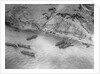 Aerial View of Military Ships by Anonymous