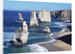 Twelve Apostles Seastacks by Anonymous