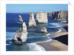 Twelve Apostles Seastacks by Anonymous