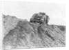 Tank Driving Down Hill by Anonymous