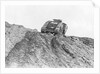 Tank Driving Down Hill by Anonymous