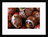 Basket of Ukrainian Easter Eggs by Anonymous
