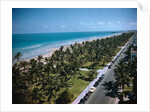 Cars Driving Near Beach Site by Anonymous