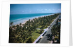 Cars Driving Near Beach Site by Anonymous