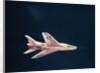 North American F-100 Airplane in Flight by Anonymous