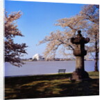 Jefferson Memorial from across the Lake by Anonymous