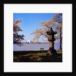 Jefferson Memorial from across the Lake by Anonymous