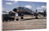 Columbine III Airplane by Anonymous