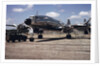 Columbine III Airplane by Anonymous