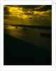Navy Fleet Sailing in Harbor by Anonymous
