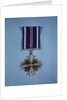 Distinguished Flying Cross for Flyers by Anonymous