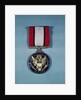 Distinguished Service Cross Medal by Anonymous