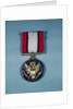 Distinguished Service Cross Medal by Anonymous