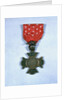 Marine Corps Brevet Medal by Anonymous