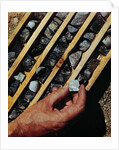 Container of Mineral Deposits Being Examined by Anonymous