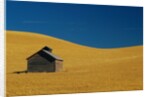 Shed in a Wheat Field by Anonymous