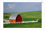 Red Barn and White Fence Near Pullman by Anonymous