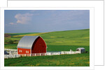 Red Barn and White Fence Near Pullman by Anonymous