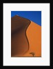 Tree and Sand Dune by Anonymous