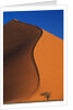 Tree and Sand Dune by Anonymous