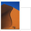 Tree and Sand Dune by Anonymous