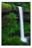 South Silver Falls by Anonymous