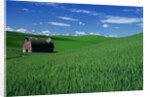 Red Barn in a Wheat Field by Anonymous