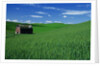 Red Barn in a Wheat Field by Anonymous