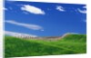Wheat Field and Fence by Anonymous
