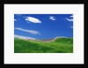 Wheat Field and Fence by Anonymous
