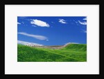 Wheat Field and Fence by Anonymous